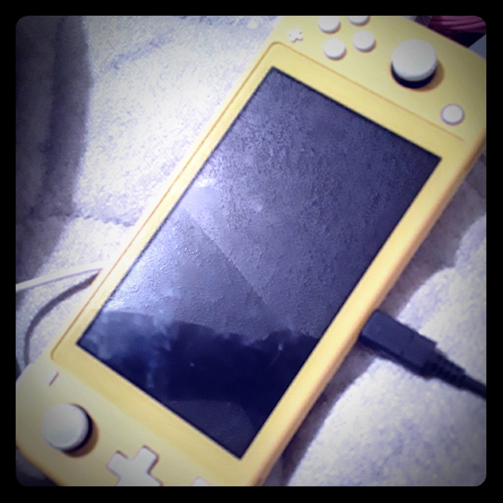 Nitendo Switch LITE